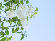 《中國(guó)社會(huì)報(bào)》：山東福彩探索青年就業(yè)創(chuàng)業(yè)幫扶新路徑